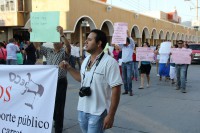 /album/fotogaleria-fotogaleria/img-8640-jpg/